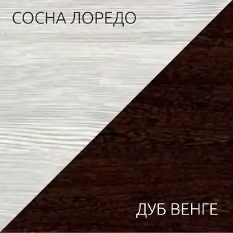 Шкаф-купе Элегант 5, Белый