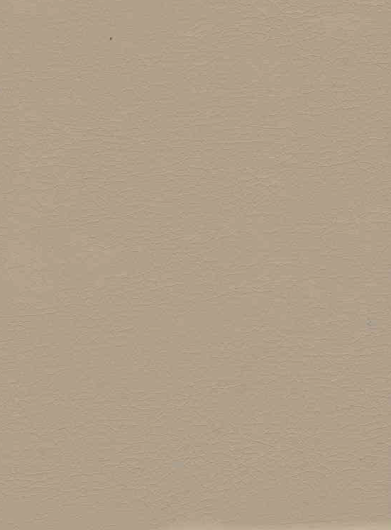 беж.png