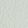 Madras Snow_1.jpg