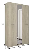 Распашной шкаф Классик Марс 6