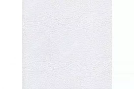 Модуль Кормакоф Лагуна 