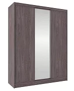 Шкаф-купе 3-дверный Home с одним зеркалом дизайн 6