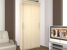 Шкаф-купе Эконом Миллениум 884х2400х573