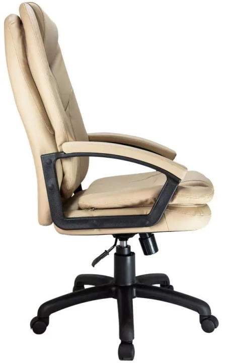 Кресло Riva Chair RCH 1168 PL бежевое2