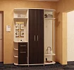 Прихожая Ивушка 17 арт199, Коричневый