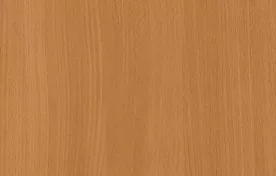Шкаф распашной Зодиак 1