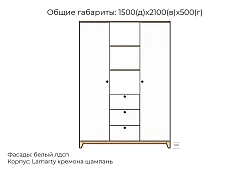 Шкаф распашной Хелен дизайн 45