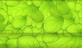 Прямой диван Собственное производство (фотопринт) Книжка Зеленый