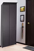 Шкаф-купе Эконом Миллениум 884х2400х573 Коричневый 