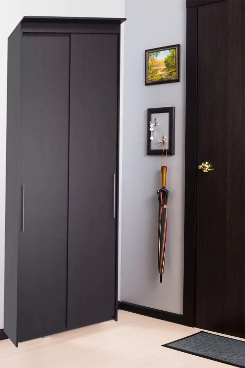 Шкаф-купе Эконом Миллениум 884х2400х573, Венге