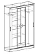ф231 Шкаф-купе Агат дизайн 2