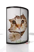 Радиусный шкаф-купе Мебелеф-12 Коричневый 
