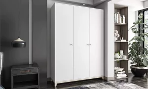Шкаф распашной Хелен дизайн 38