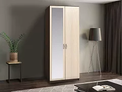 Шкаф распашной двухдверный с зеркалом Ронда (Бася) 